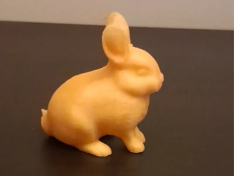 Bunny