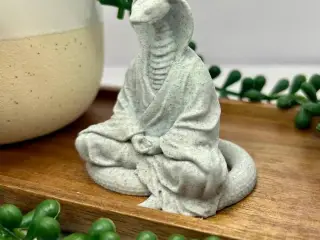 Snake meditating
