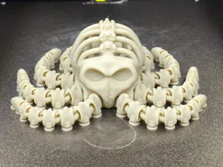 Articulated Skeleton Octopus