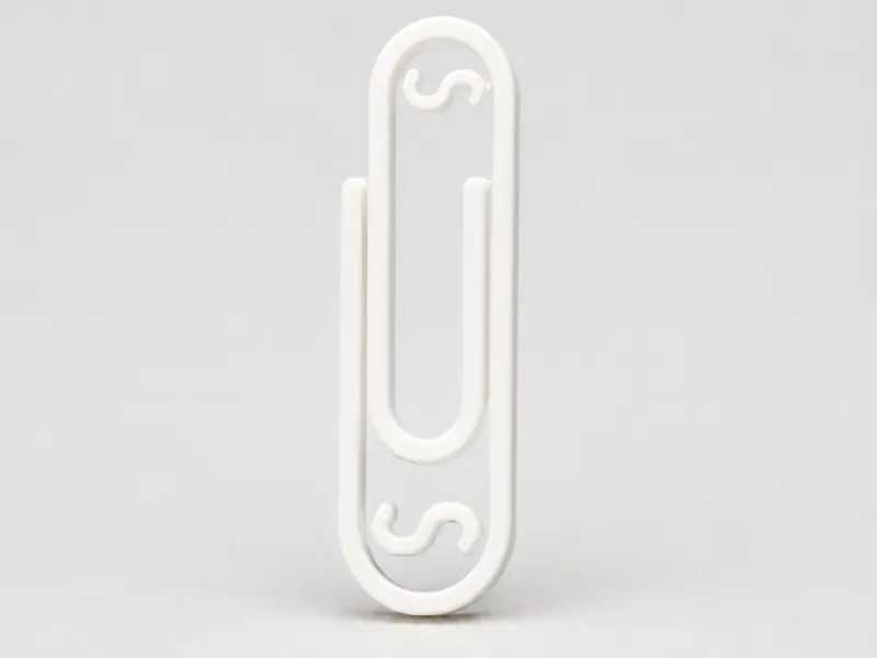 Dollar sign PaperClip