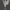 Nude Angel Standing High Poly