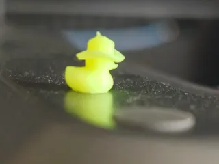 Tiny Duck Wearing a Cowboy Hat