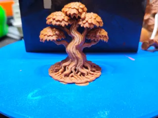 Oak Tree acc