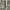 InkBird ITC-308 Temperature Probe Capsule