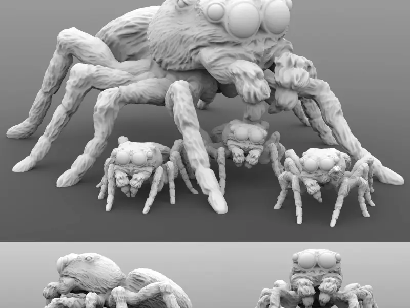 Giant Jumping Spiders