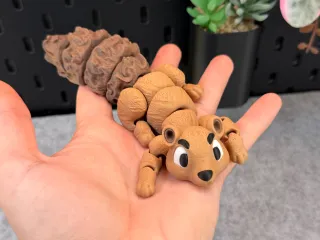 Articulated Cute Squirrel