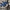 LIFE SIZE SURRON LIGHT BEE (LBX)