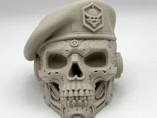 Cyber Beret
