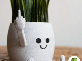 Happy Sitting Middle Finger Pot