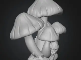 Mushroom Cluster