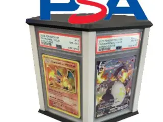 PSA Slab Rotating Display
