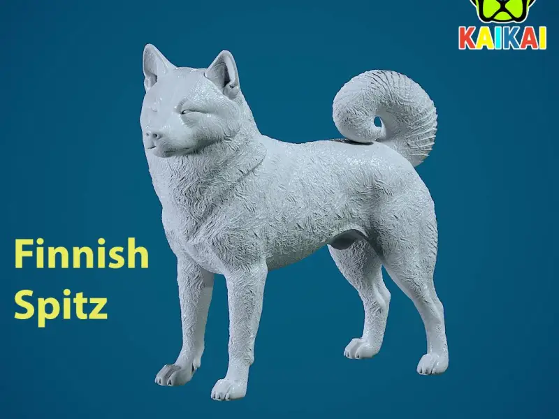 Finnish Hound dog model - Loulou Finois Dog statue - 3D prin