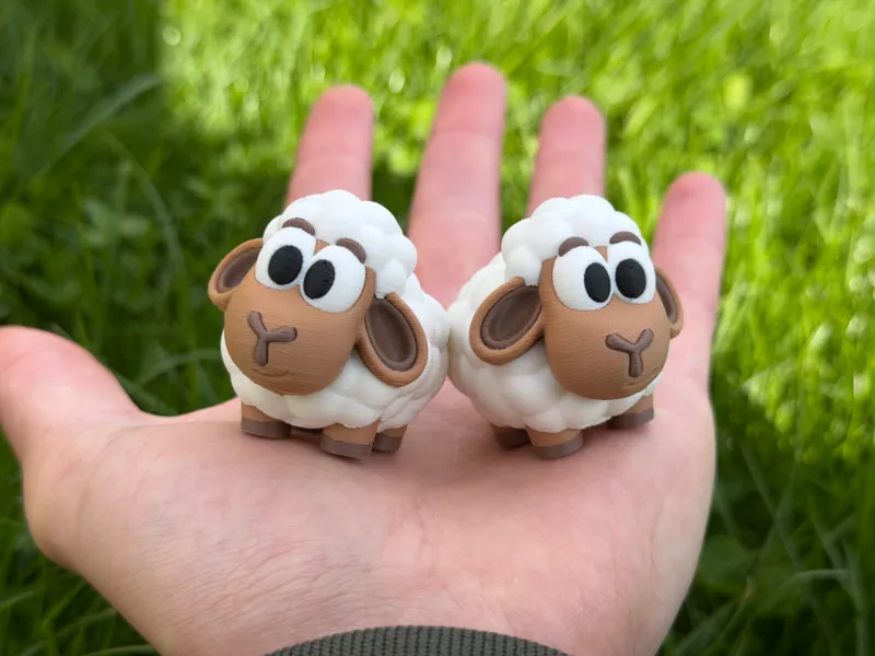 Cute Sheep