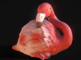 Flamingo Decoration-0