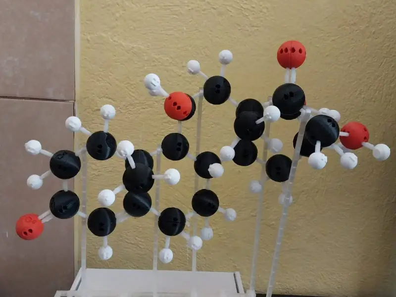 Moléculas Bioquímicas Montáveis