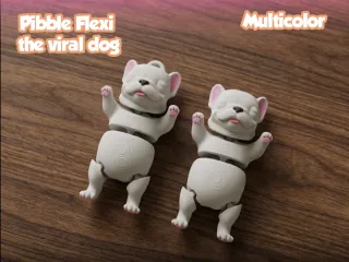 Pibble Flexi, the viral dog - Multicolor