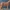 Meshy_AI_Ribbed Clay Horse_1790849241_generate