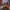 God of War 20th Anniversary – controller support (PS4 / PS5)