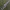 Quematrice Espada III Monster Hunter Wilds