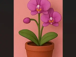 Mini Orchidée