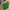 Hay Day Logo Fridge Magnet