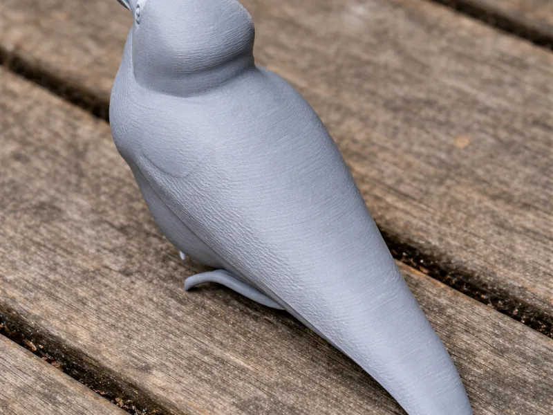 须䴕