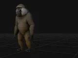 baboon 2-0