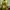 Victreebell