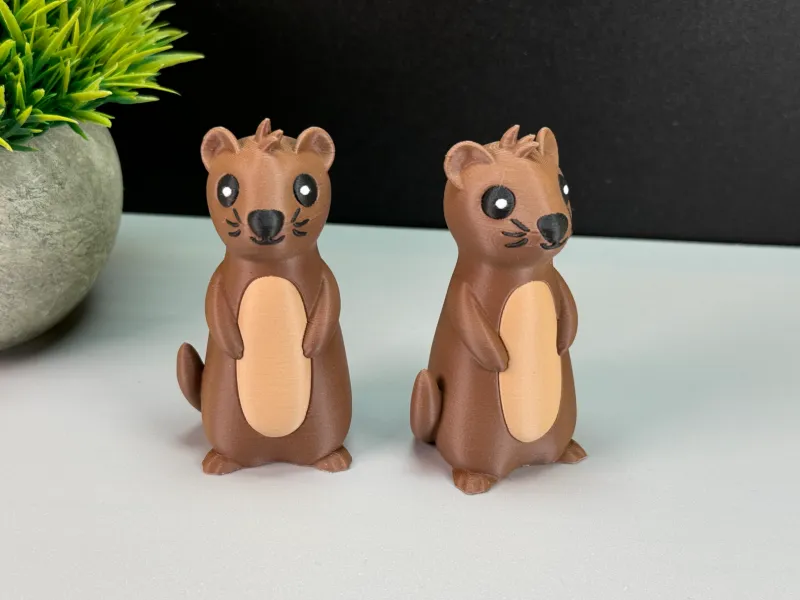 Cute Otter