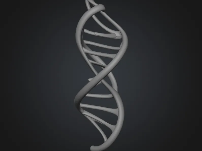 DNA sculpture