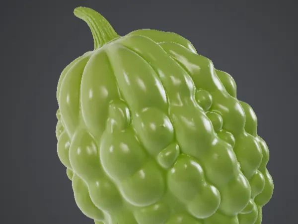 苦瓜 3d 模型