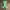 Creeper Articulado - Llavero o Figura