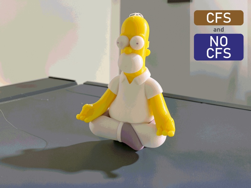 Homer Simpson | CFS ve CFS'siz