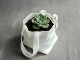 Multi-purpose Canvas Bag Planter & Storage Box-0