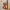 Decorazione da parete - Charmander (CFS/NO CFS)