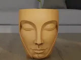 Serenity Face Planter 3D Print Model-0