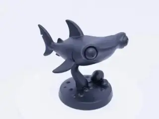 cute-hammerhead-shark-friendly-ocean-dweller