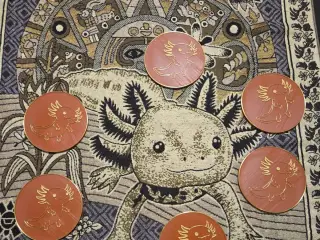 Axolotl coaster