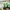🌵 3er Kakteen Deko Set – Moderne Pflanzen-Dekoration