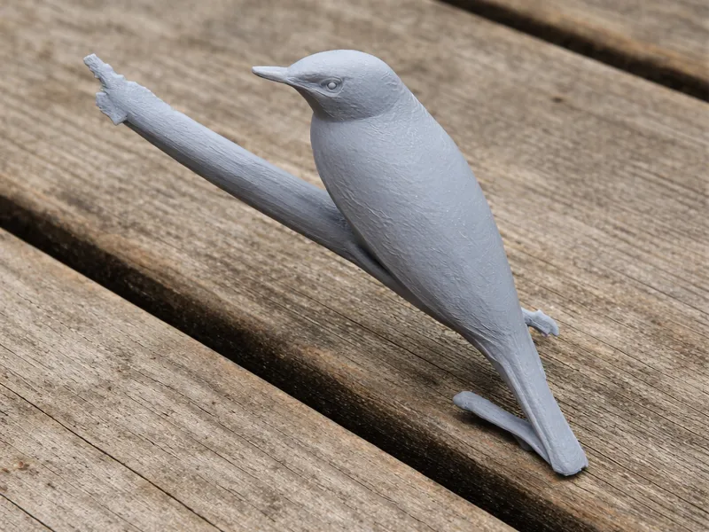 Bamenda apalis