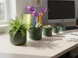 Mini Desk Planter – A Touch of Green, Anywhere, 60-140mm-0