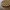 Girih_Untersetzer_rund_4