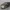 Toyota Corolla RunX 2001