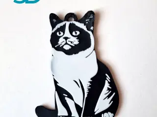 Snowshoe keychain+magnet