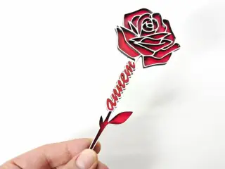 Mother's Day Rose-Anneler Günü Gül