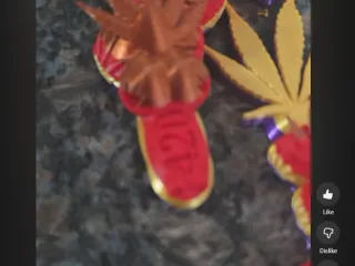 420Dragon
