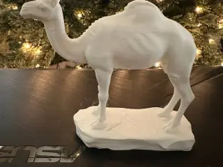 Camel 2