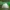 Slime di Terraria – Adorabile Creatura Blob Classica