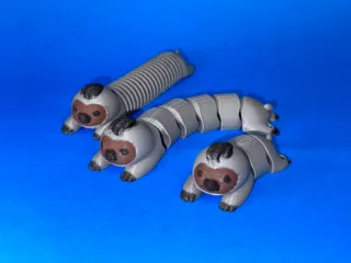 噗噗猪鼻树懒