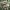 Leafeon Articulated Flexi Toy